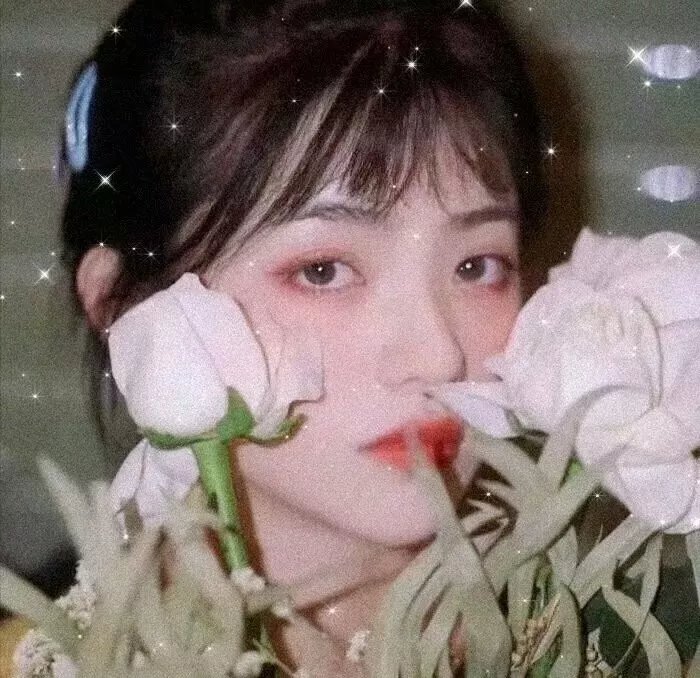 女人万岁